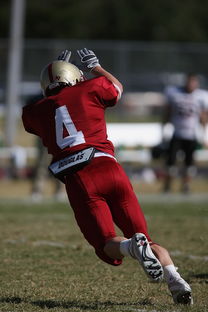 开云体育入口-多特蒙德轻取本菲卡，迪玛利亚梅开二度英超